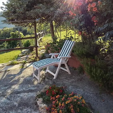 Bed & Breakfast Anita 3*