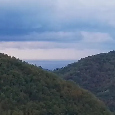 Anita Couette-café 3*