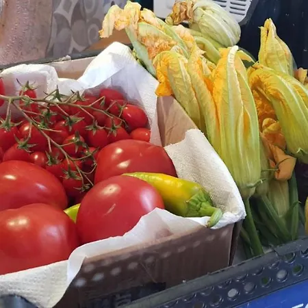 Anita Nocleg ze śniadaniem Uscio