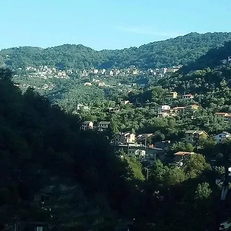 Anita 3*